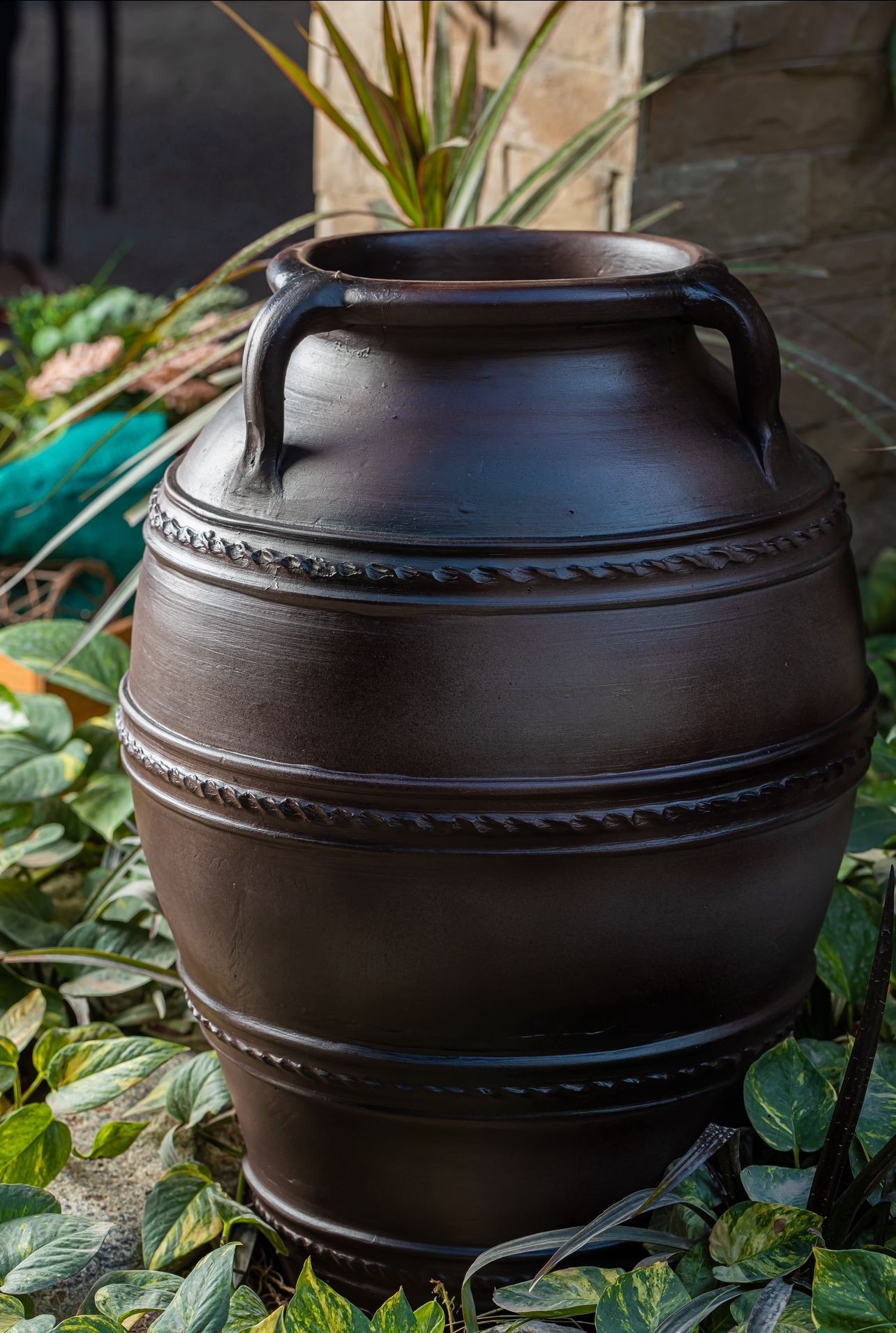 Large dark terracotta pot with two handles surrounded by lush green plants in an outdoor setting.