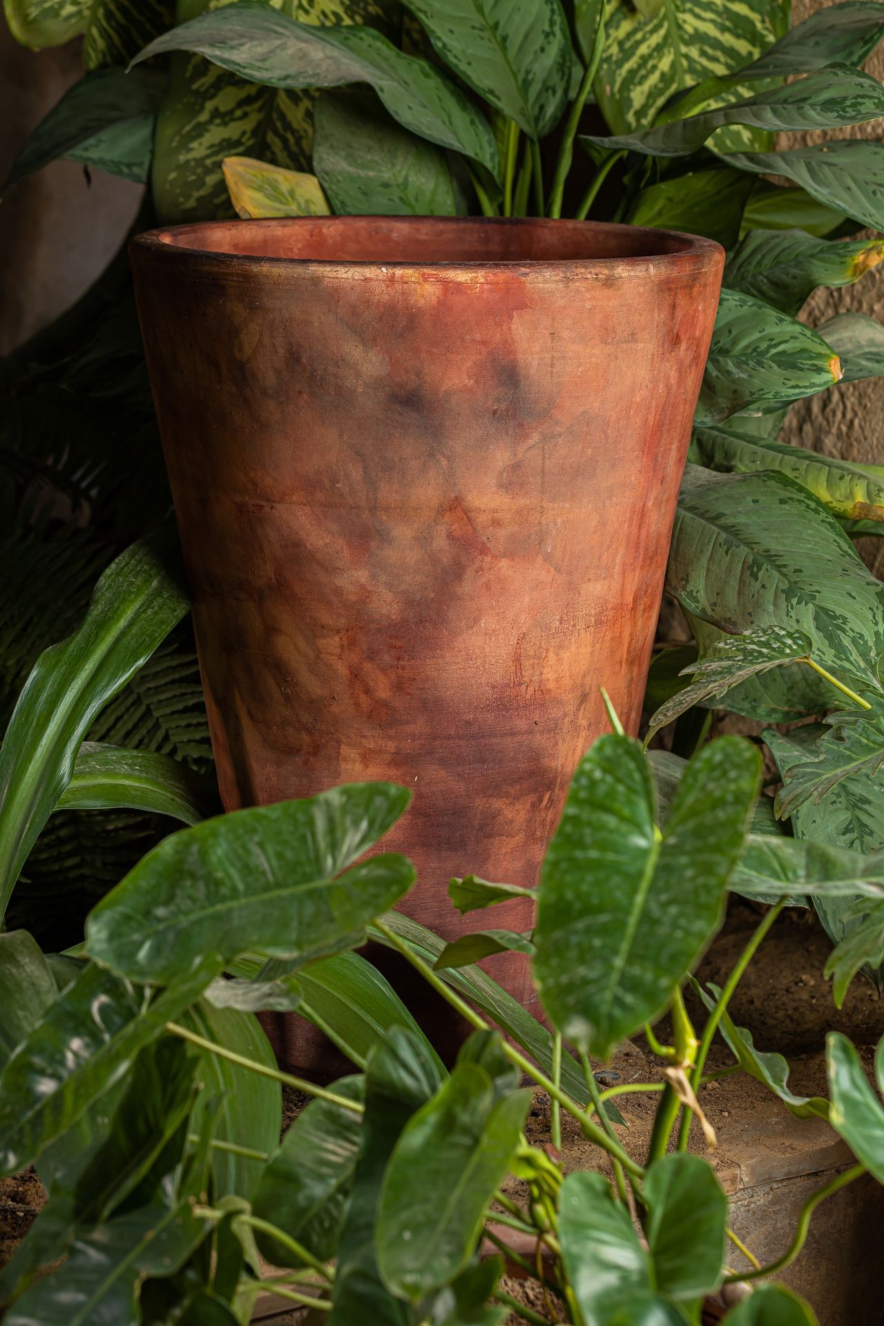 Large rustic terracotta pot surrounded by lush green foliage, creating a natural and earthy garden scene.